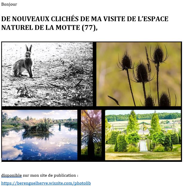 Publication Instagram