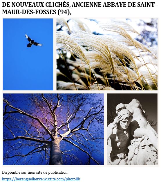 Publication Instagram