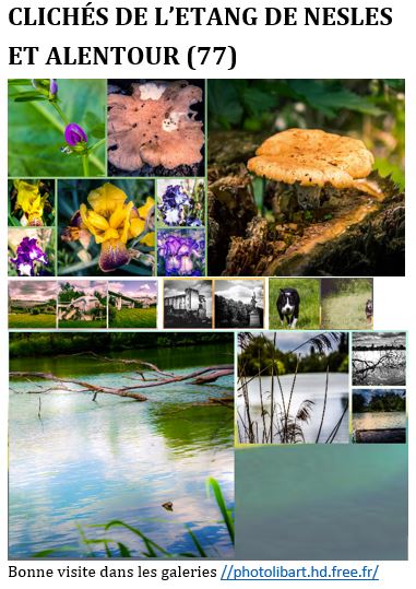 Publication Instagram