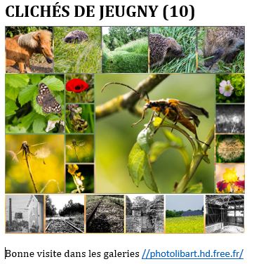 Publication Instagram