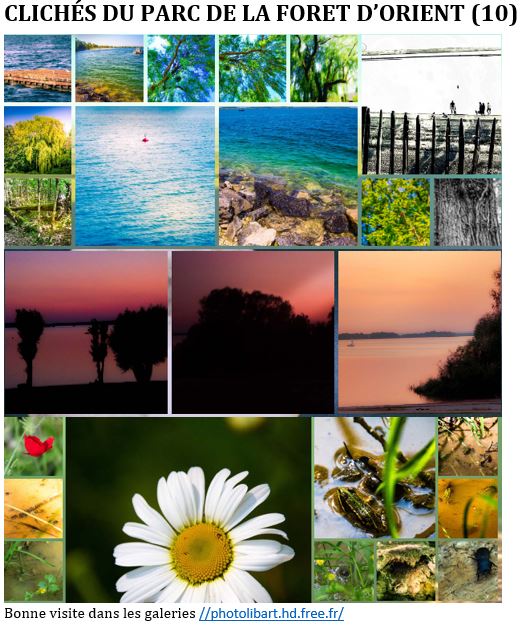 Publication Instagram