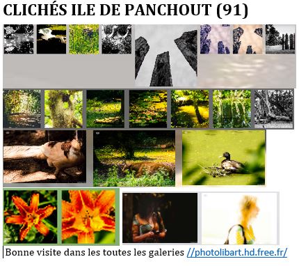 Publication Instagram