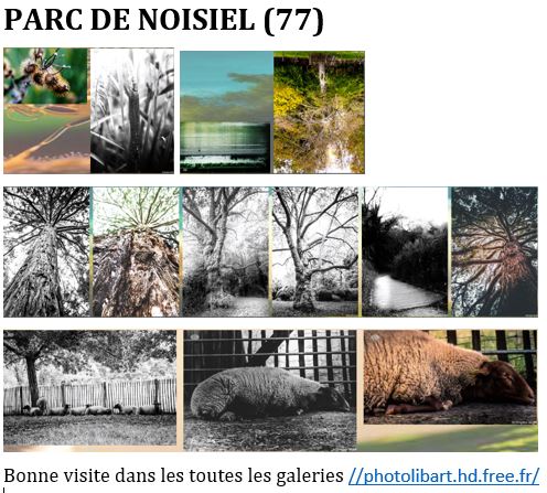 Publication Instagram
